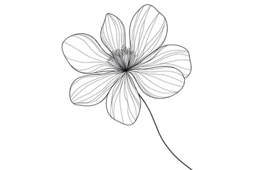 
Elegant flowers drawn in black continuous line art, minimalistic composition with smooth curves, centered on plain white background with wide space