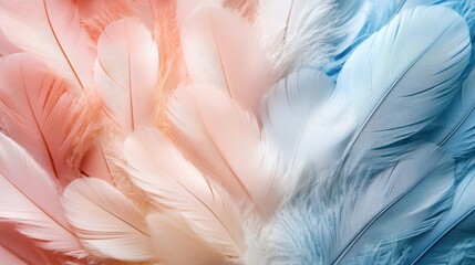 Obraz premium Soft Pastel Feathers Coral and Blue Textured Background
