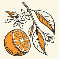 Orange Icon Vector Adobe Illustrator Artwork