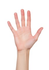 Open Hand: A Simple, Clean Photographic Study
