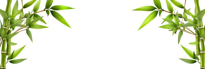 Fototapeta premium Bamboo stalks with green leaves on transparent background png cutout