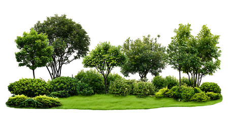 Garden landscaping trees and shrubs isolated on transparent background png cutout