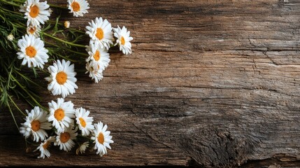 Obraz premium Daisies on Rustic Wood: A Serene Floral Arrangement