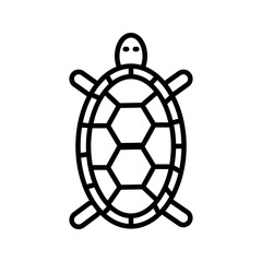 Turtle icon on white background