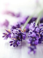 Fototapeta premium Close-up of Lavender Flowers on White Wood Surface in Soft Focus for Aromatherapy and Relaxation Concepts