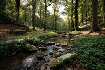 Obraz premium Forest Stream: Sunlit Serenity in a Verdant Woodland