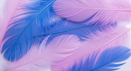 Fototapeta premium Pastel Whispers