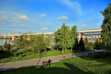 Beautiful city alley with green trees