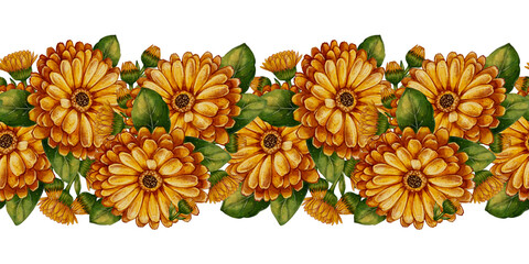 Calendula flowers and green leaves, seamless watercolor floral border illustration. Decorative herbal garland design for tea packaging, fabric, greeting cards, and eco cosmetics.