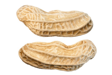 Boiled peanuts isolated on white background.