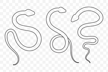 Spiral crawling snake line icon. Outline hand drawn vintage sketch of serpent animal, wildlife nature element design. Wild reptile, predator mascot, simple snake silhouette vector illustration. EPS 10