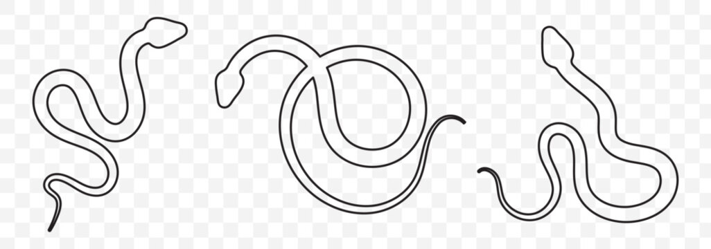 Snake icon. Snake silhouette vector. EPS 10