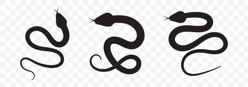 Simple snake silhouette set vector illustration reptile animal design. EPS 10