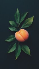 Single, Ripe Nectarine, Showcasing Vibrant Orange Hues and Lush Green Leaves, Isolated on Black