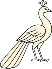 Clean monoline peacock illustration in standing pose