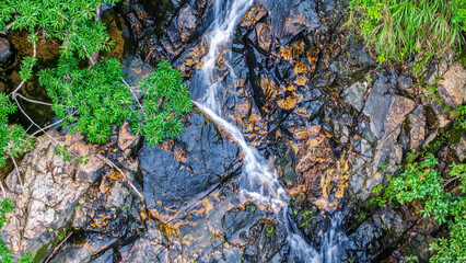Fototapeta premium Beautiful Small Waterfall Surrounded by Lush Green Foliage and Natural Rock Formations
