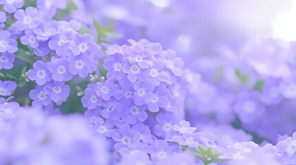 Dreamy soft focus purple flower background