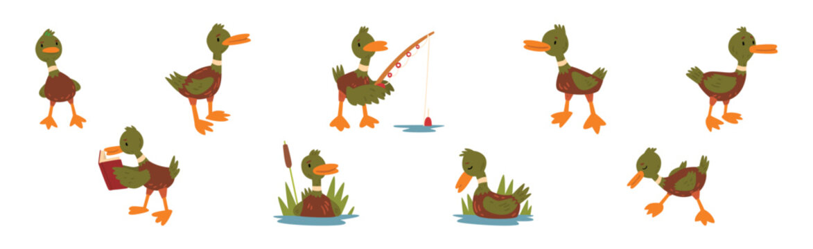 Funny Green Duck Character as Feathered Waterfowl Bird Vector Set