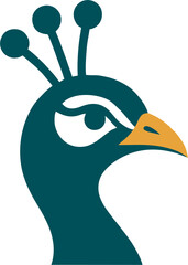 vector peacock head close-up with clean lines
