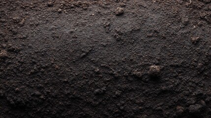 Rich black loam soil texture with moist sheen and visible organic granules, high-contrast natural daylight 