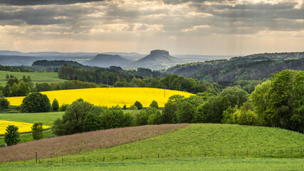 in the intoxication of colors - im Rausch der Farben