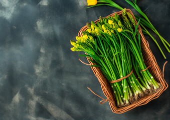 spring food