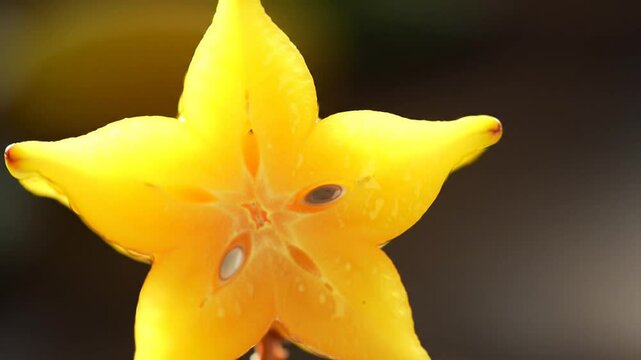 Vibrant Yellow Star Fruit Slice Close Up Exotic Sweetness