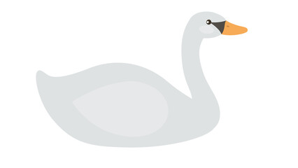 Elegant Swan Illustration