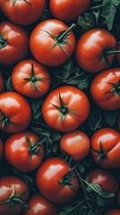 Fresh red tomatoes close up