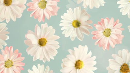 Obraz premium Arrangement of white and pink daisies with yellow centers on a light blue background pattern