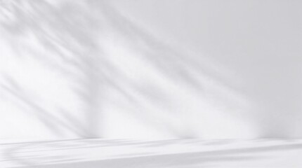 Obraz premium A high-resolution image of dynamic motion set against a minimalist background of gray gradients. Abstract shadows and blurred lines enhance the modern, smooth feel of the composition.