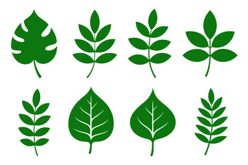 Green leaf vector set botanical foliage collection