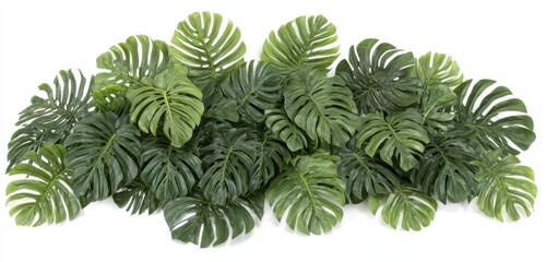 Lush tropical leaf arrangement (3)