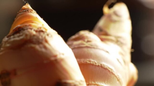 Close Up Of Organic Ginger Root In Natural Light