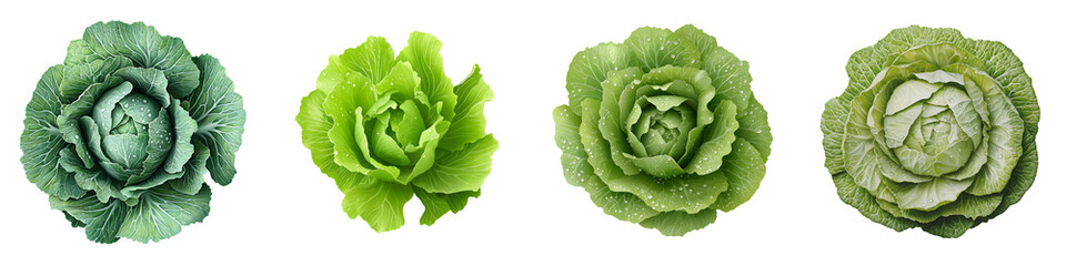 Fototapeta premium Fresh green cabbages in various shades, displaying intricate textures, vibrant colors, and close-up details ideal for culinary and gardening themes.