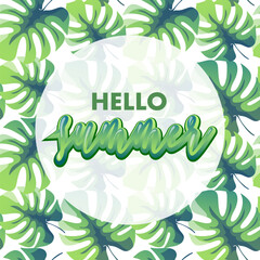 hello summer vector illustration with monstera leaves
