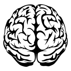 Abstract Illustration of a Human Brain with Distinct Lobes and Complexity