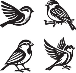Black and white vector illustration of a set of sparrows in various poses showcasing detailed feather patterns perched and flying on a clean white background