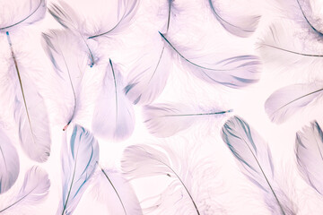Pastel Pink Feather Texture.Feather Pattern in Soft Colors. Abstract Composition of Feathers.