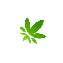 modern abstract leaf simple for business. fresh colors dynamic green