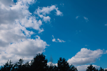 Obraz premium Blue sky and clouds in sunny day. Clear blue sky with faint, fluffy white clouds scattered lightly.