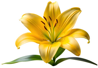 yellow lily flower generative ai