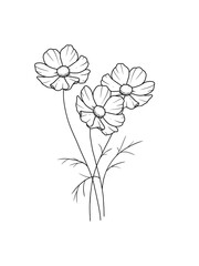 Obraz premium Bouquet of flowers chamomile outline drawing hand drawn white background
