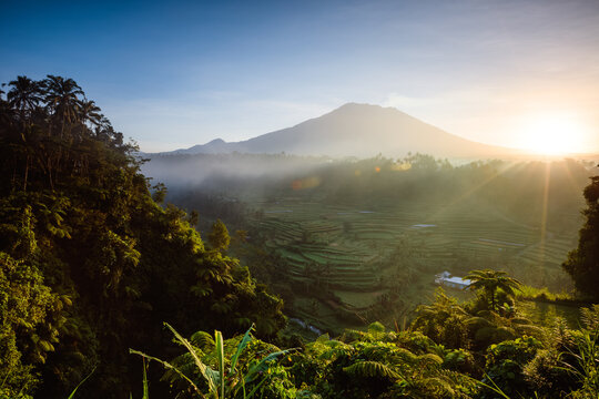 Mount Agung volcano and rice fields at sunrise, Bali, Indonesia