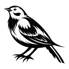 Elegant black and white vector illustration of a perched songbird design