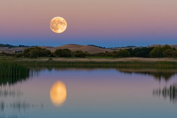 A full moon rises gracefully above a still lake, casting a silvery reflection on the water. Soft hues of twilight paint the sky, creating a peaceful atmosphere in nature