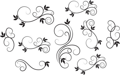 Collection of Elegant Black Floral Swirls and Vines Design Elements