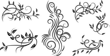 Collection of Six Elegant Black Floral Swirls and Vine Designs with Leaves