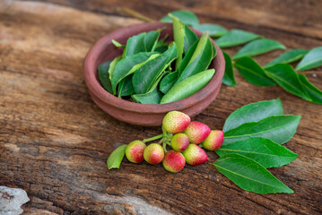 Fresh organic curry leaves (murraya koenigii) in the bowl on wooden background