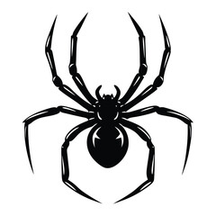 Stylized black widow spider illustration with long legs on a white background
